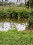 IMG_5404