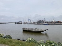 IMG_8211