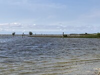 IMG_8174