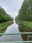 IMG_8223