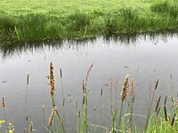 IMG_8228