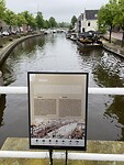 IMG_8233