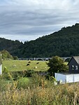Willingen
