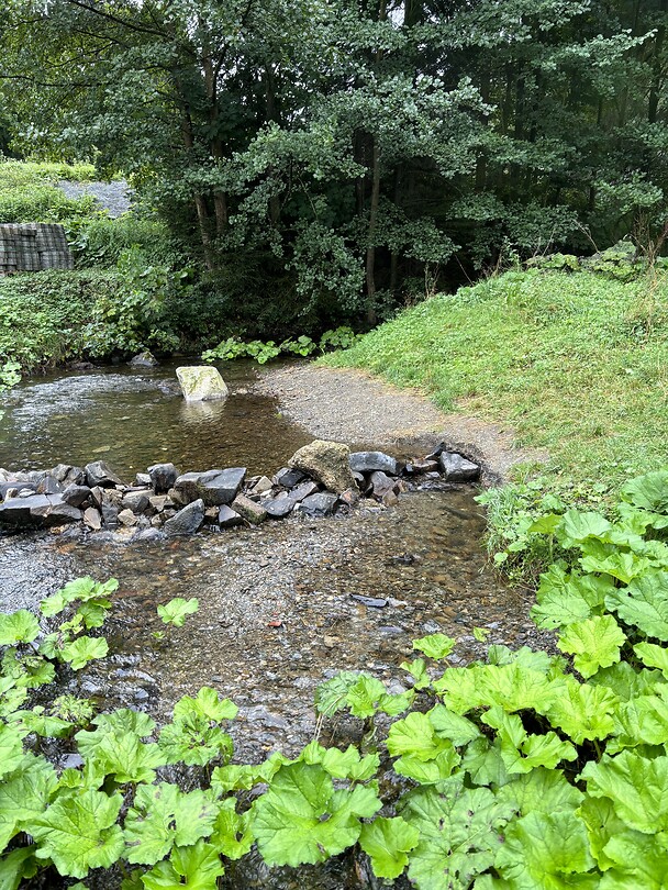 Mühlenkopf