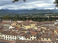 Lucca