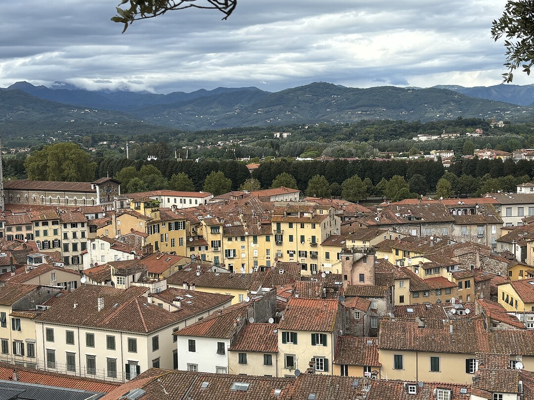 Lucca