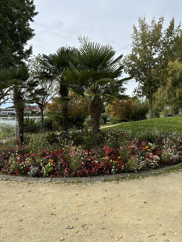 Bodensee