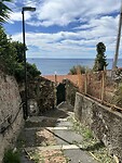 Bogliasco