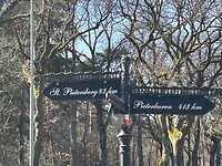 IMG_2272