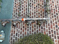IMG_2273