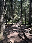 Durmitor park
