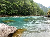 Tara river