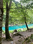 Tara river