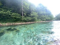Tara river