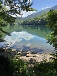 Biogradska gora