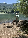 Biogradska gora