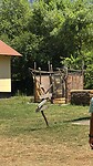Aqurius river camp