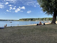 Roth see