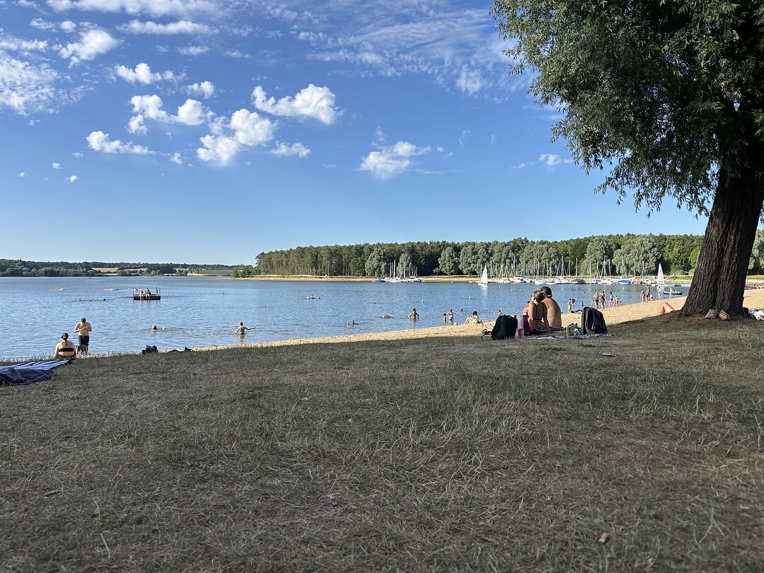 Roth see