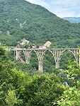 Tara bridge