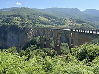 Tara bridge