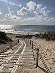 IMG_4554