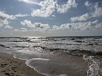 IMG_4556