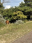 IMG_4567