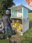 IMG_4576