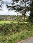 IMG_4577