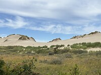 IMG_4580