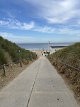 IMG_4581