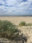 IMG_4590