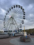 IMG_4597
