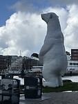 IMG_4673