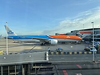 Orange pride