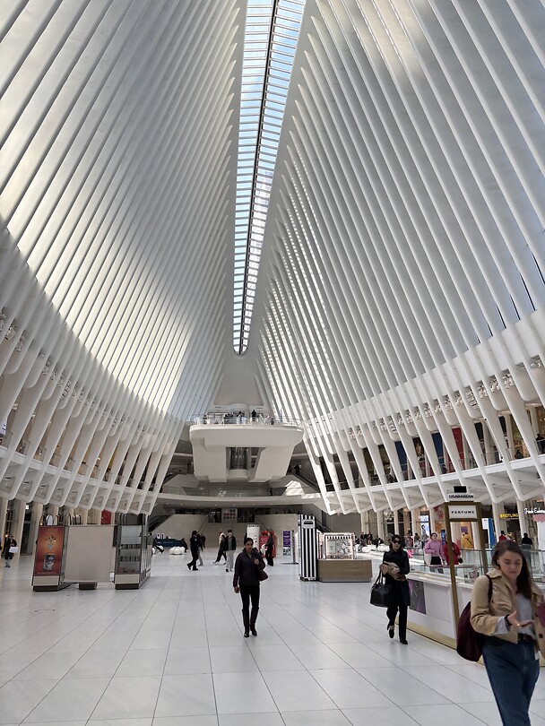The Oculus