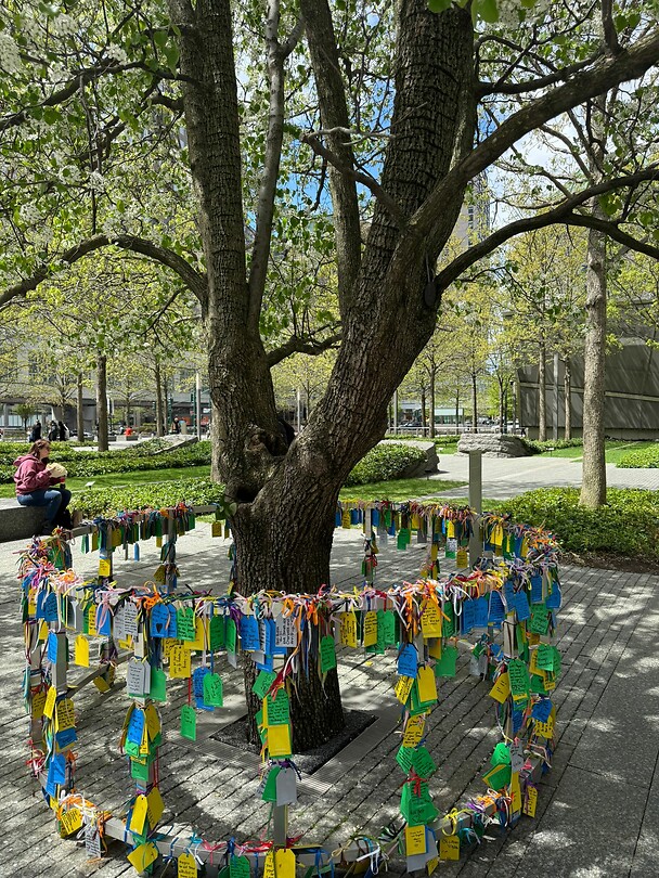 Survivor tree