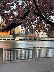 Roosevelt Island