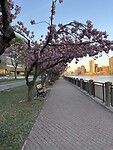 Roosevelt Island