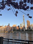 Roosevelt Island