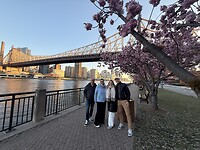 Roosevelt Island