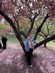 In Central Park