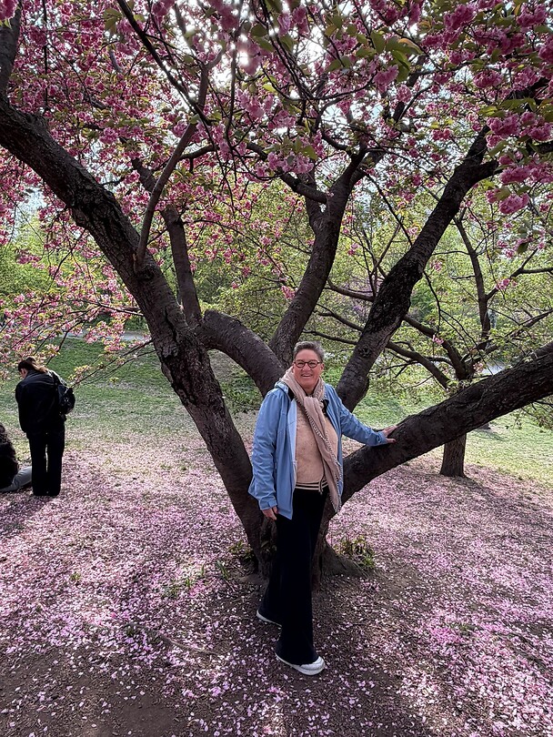 In Central Park