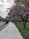 Central Park