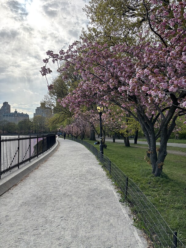 Central Park