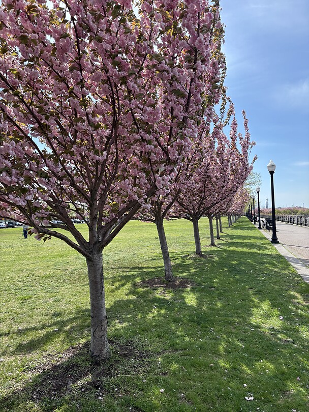 Liberty state park