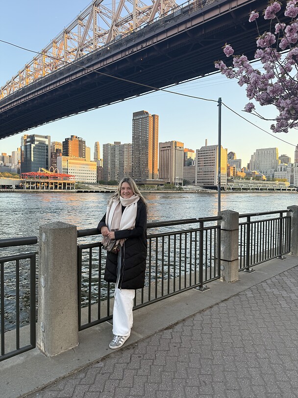 Roosevelt Island