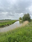 IMG_7610