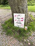 IMG_7612